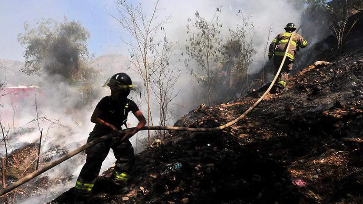 Incendio maleza